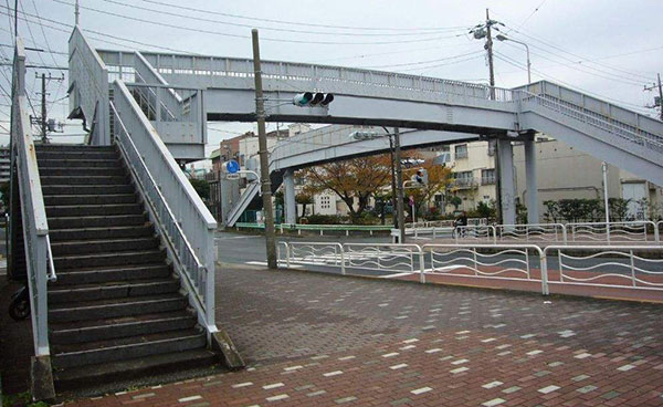 2024新澳原料免费大全